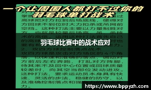 羽毛球比赛中的战术应对