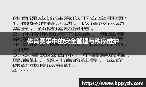 体育赛事中的安全管理与秩序维护