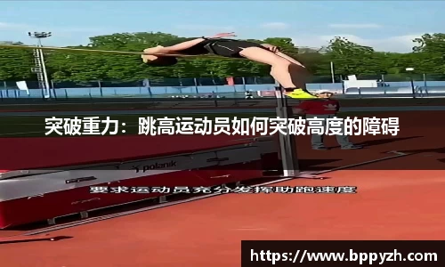 DG真人视讯
