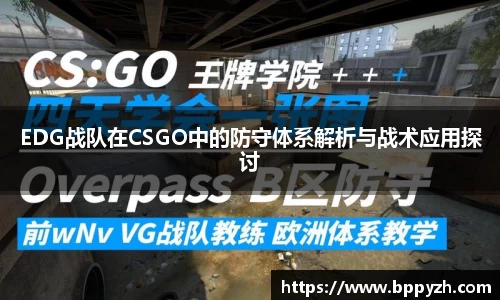 DG视讯